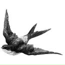 Фотография Великановой Анастасии