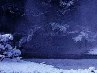 Игорь Ильчук фотография #32 (источник - https://vk.com/id82346433)