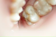 Фотография Ульянова Александра