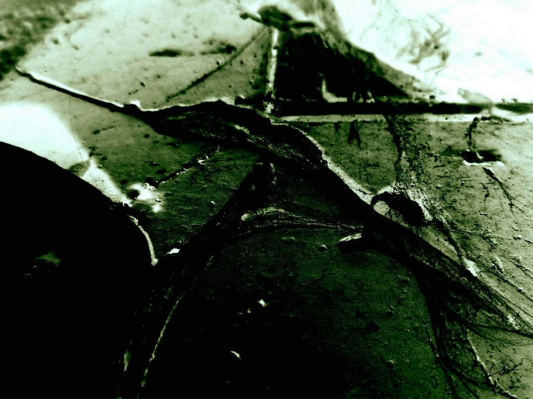 Den D фотография #49