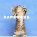 Фотография Гайдученко Карины