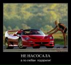 Фотография T Алекса