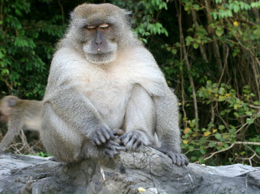 Людмила Чернова фотография #31