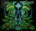 Фотография Данилова Саши