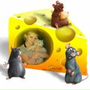 Фотография  