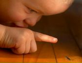 Фотография Кашиной Ани