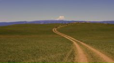 Фотография Аксеновой Дарьи