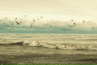 Фотография Данильчук Марины