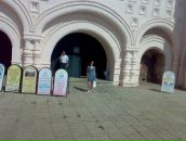 Фотография Л Лилии