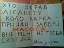 Дашутка Бабікова фотография #7 (источник - https://vk.com/id165368244)