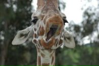 Фотография Макаровой Марины