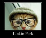 Фотография Novitskiy Dmitriy