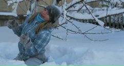 Фотография Лазаревой Анастасии