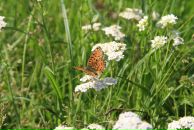 Фотография Ерушевой Наталии