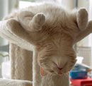 Ірочка Кравченко фотография #13 (источник - https://vk.com/id3740323)