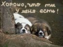Фотография Мануйленко Екатерины