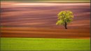 Фотография Бессер-Бернадской Марии