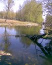 Інна Лідер фотография #12 (источник - https://vk.com/id33473284)