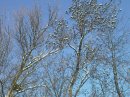 Герман Масливец фотография #16 (источник - https://vk.com/id30653853)