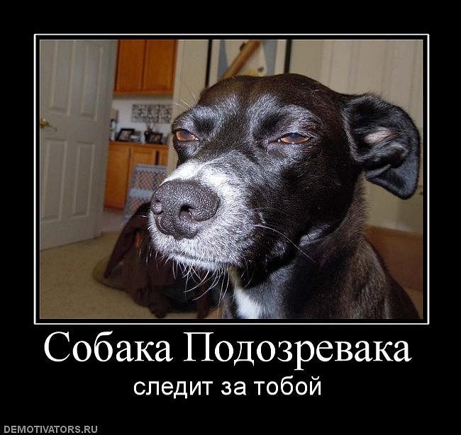 Дмитрий Ефимов фотография #24