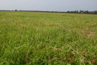 Артем Милаков фотография #50 (источник - https://vk.com/id3961457)