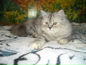 Фотография Стамат Лены