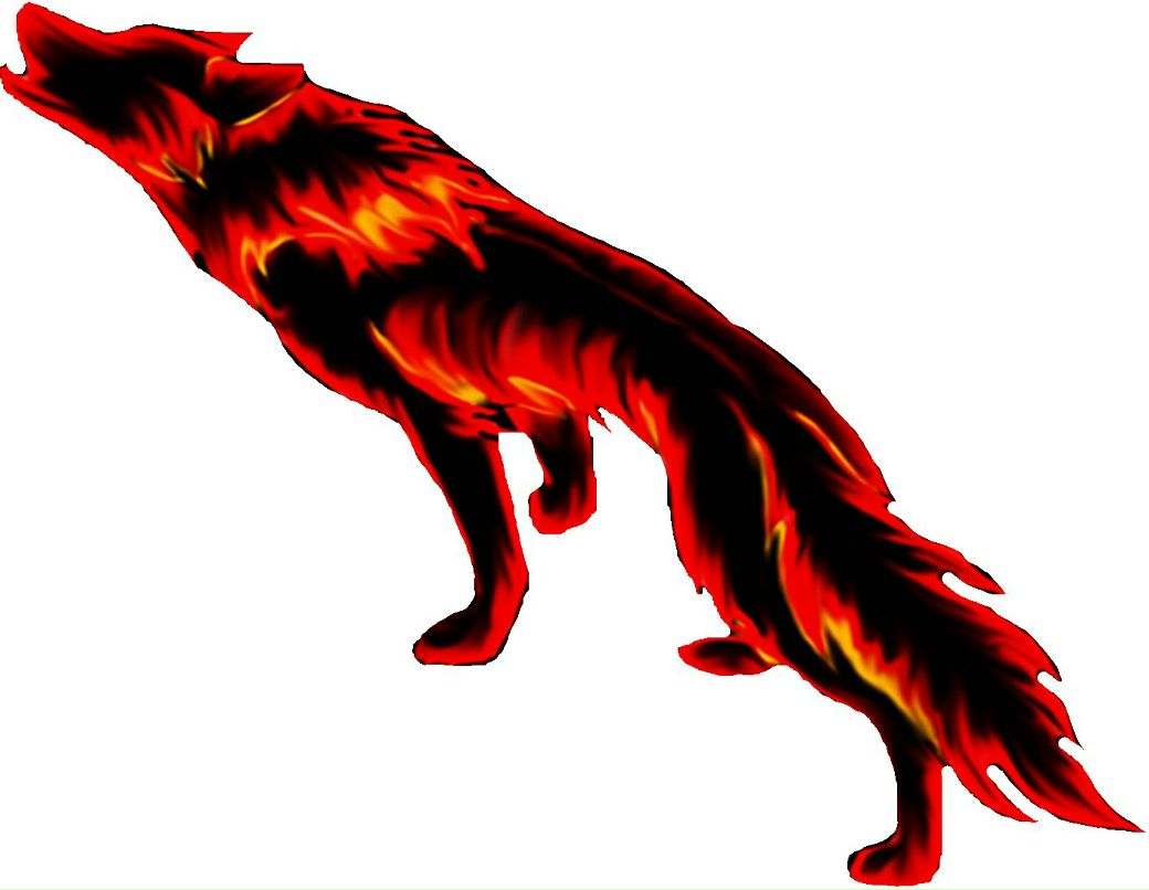 Дмитро Шкриль фотография #43