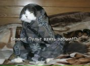 Фотография Кустова Алексея