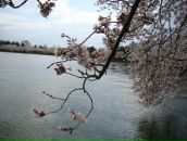 Фотография Москвиной Анастасии