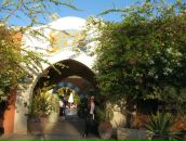 Ірина Лісович фотография #32 (источник - https://vk.com/id19871993)