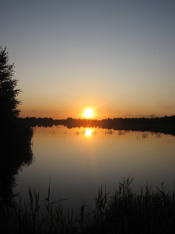 Катя Нестерович фотография #28