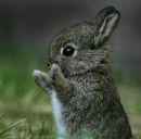 Сергій Боровицький фотография #43 (источник - https://vk.com/id33036379)