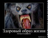 Фотография Сизова Дмитрия