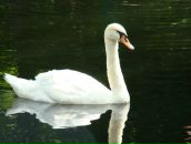 Фотография Малаховой Елены