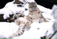 Фотография Косенкова Андрея