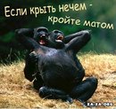 Сергій Тихолаз фотография #15 (источник - https://vk.com/id155022488)