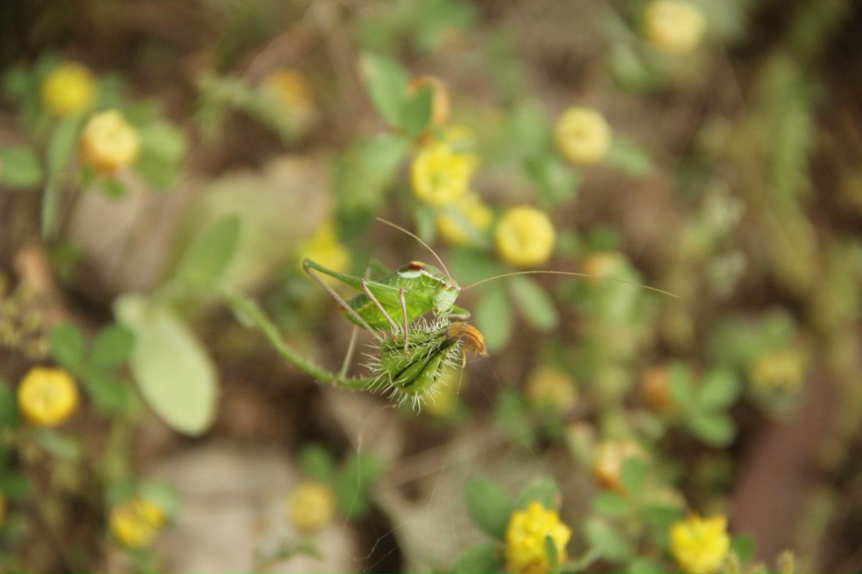 Женя Татировский фотография #28