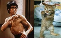 Фотография Бамбышева Батра