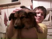 Фотография Гринцева Дмитрия