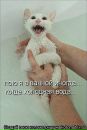 Вася Білоус фотография #41 (источник - https://vk.com/id134298219)