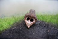 Фотография Солоненкова Андрея