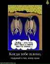 Діма Роюк фотография #16 (источник - https://vk.com/id133369281)
