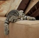 Βладимир Κарпов фотография #1