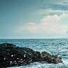 Матвієнко Лєна фотография #18 (источник - https://vk.com/id164420222)