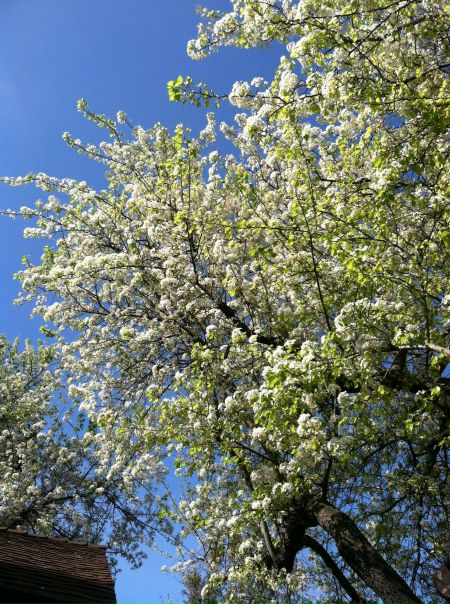 Федор Гончар фото №14