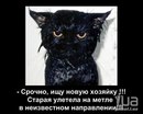 Тіма Федас фотография #21 (источник - https://vk.com/id157667946)