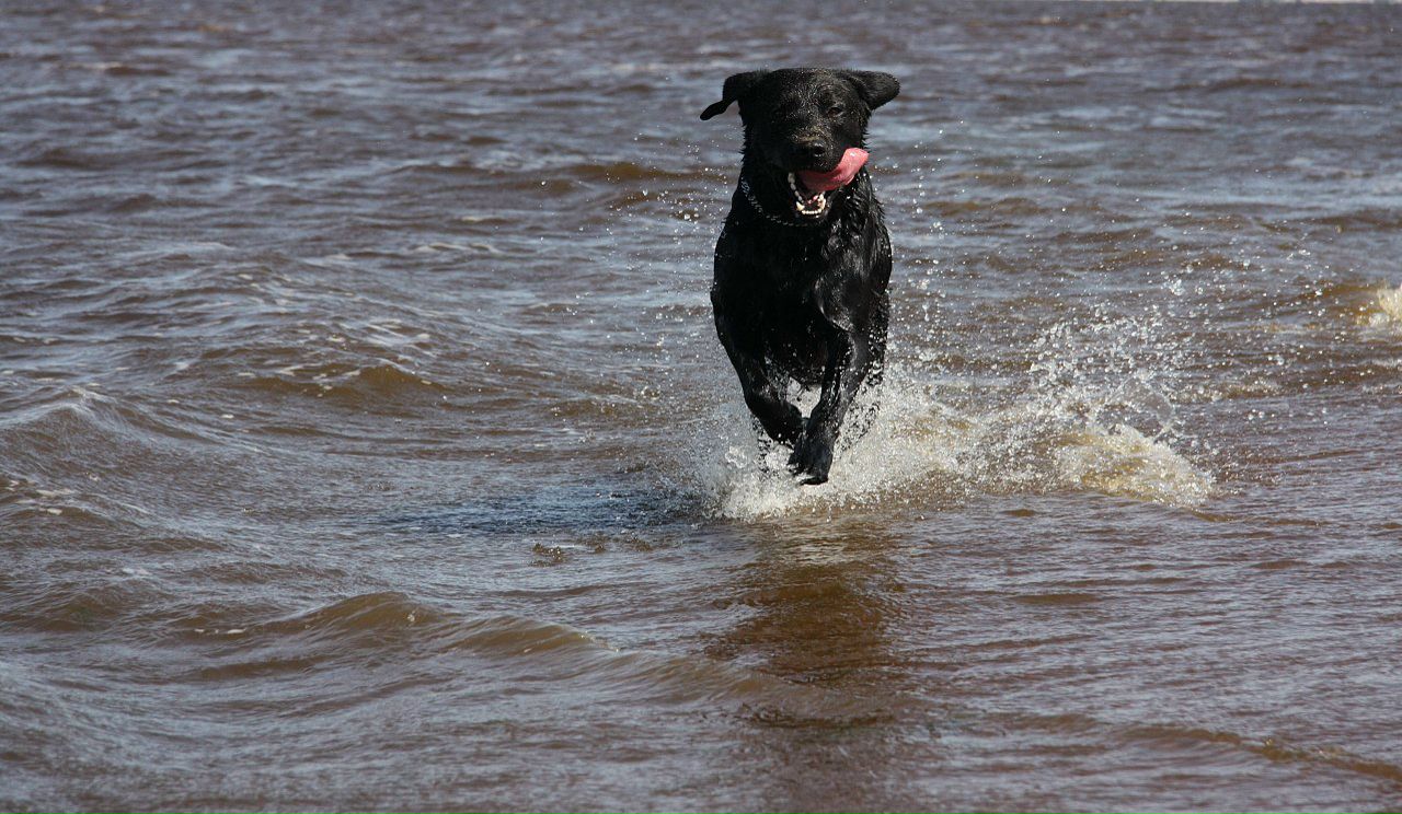 Даниил Сидоров фотография #23