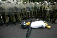 Фотография Федяя Андрея