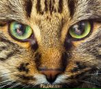 Фотография Гайнутдиновой Лилии