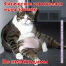 Оксана Антонюк-Іванова фотография #37 (источник - https://vk.com/id33872049)